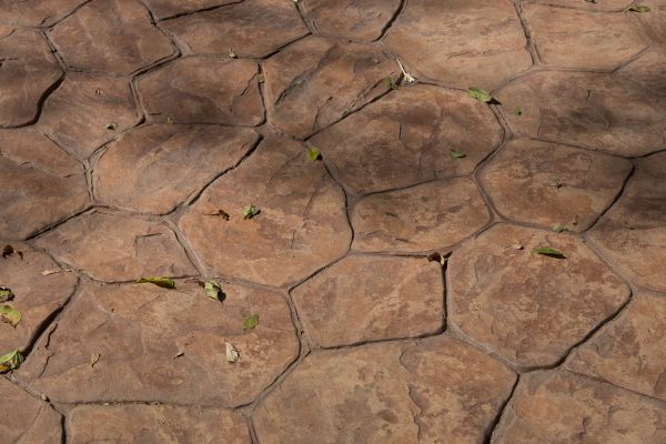 Cost of Concrete Texturing in Avon