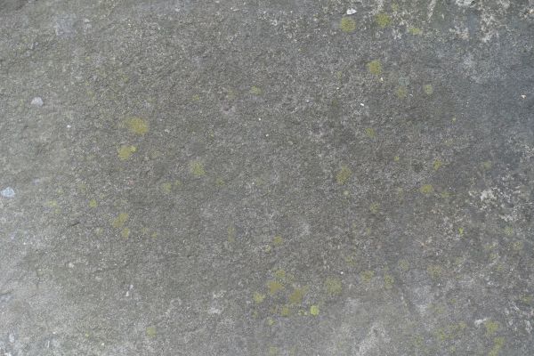 Cost of Slab Staining Service in Avon